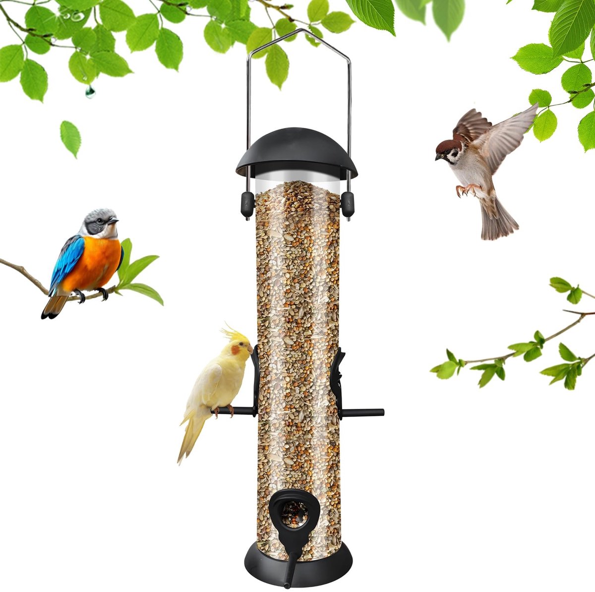 Omgoods - Vogelvoeder met 4 Voerpoorten voor Kleine Vogels
