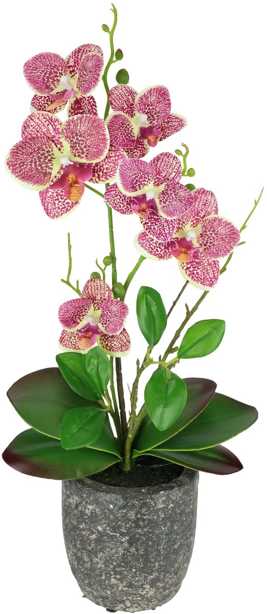 Omgoods - Kunstbloem Phalaenopsis Orchidee met Bladeren en Pot voor Decoratie