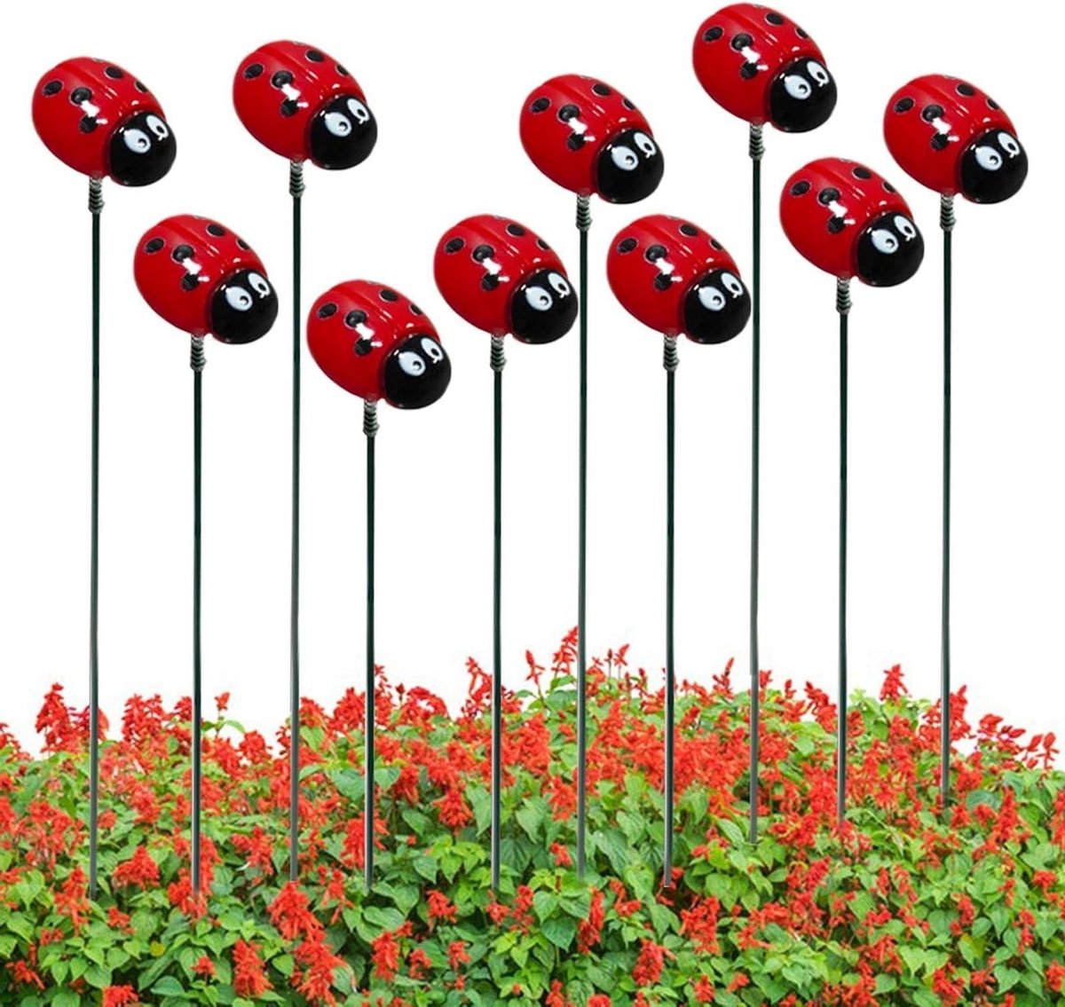 Lieveheersbeestjes Tuinstekers - Decoratieve Insecten - Tuin Decoratie - Handgeschilderd Detail - 30 cm - Meerkleurig