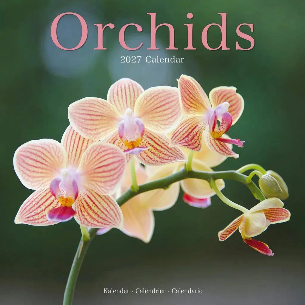 Orchidee Kalender 2027