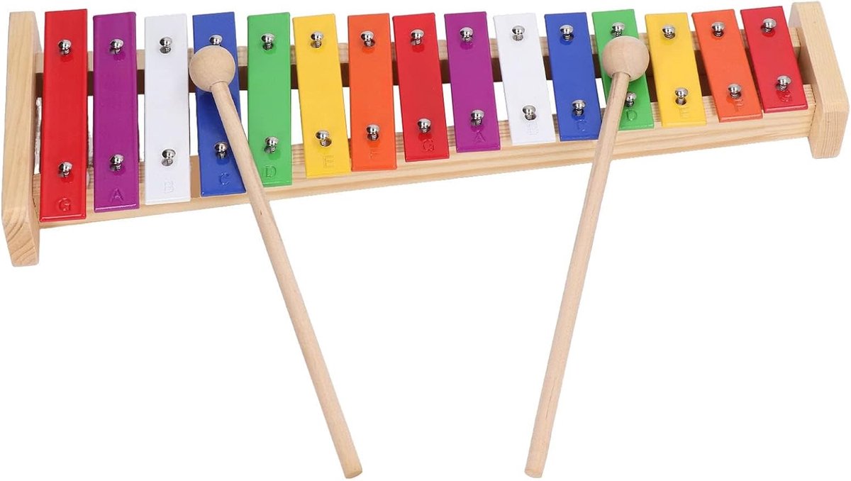 15 Notes Xylofoon - Educatief Glockenspiel Instrument Met 2 Hamers Voor Kinderen