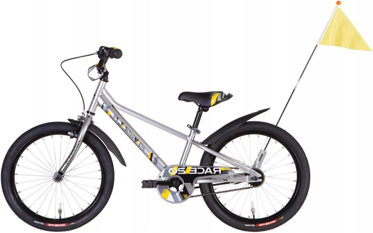Kinderfiets 20 inch - Jongensfiets Meisjesfiets - Veilig Fietsen - Stalen Frame - 20 inch - Grijs