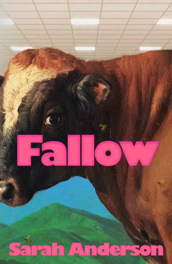 Couverture du livre 'Fallow' avec un gros plan d'une vache brune avec une tache blanche sur la tête, et le texte 'Fallow' en lettres roses. Deux abeilles sont visibles.