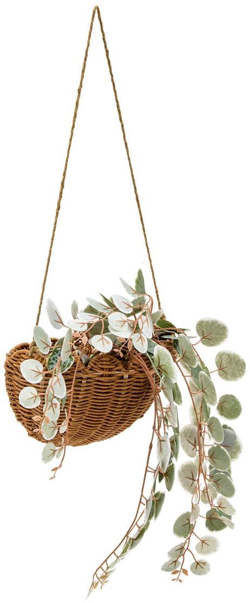 Plante suspendue Mona H.75cm vert