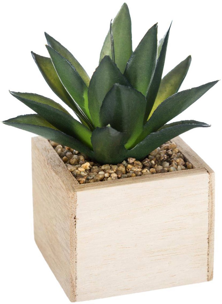 Kunstplant HACI
