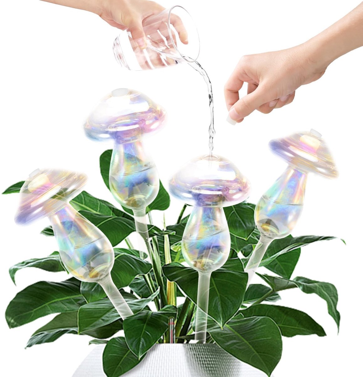 Omgoods - Set van 4 Plantenbewateringsballen van Glas