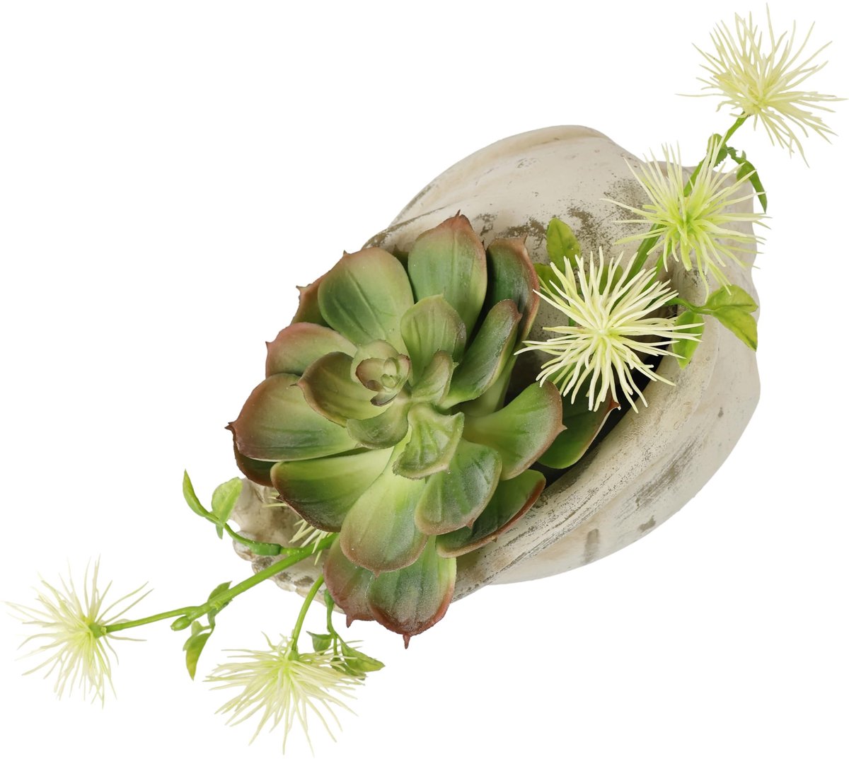 Omgoods - Kunstplanten Arrangement Succulenten in Schelp - Groene Decoratie voor Binnen