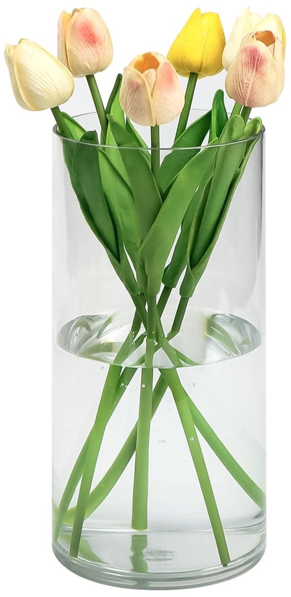 Omgoods - Grote Acrylic Cilinder Vaas van 25 cm voor Bloemarrangementen