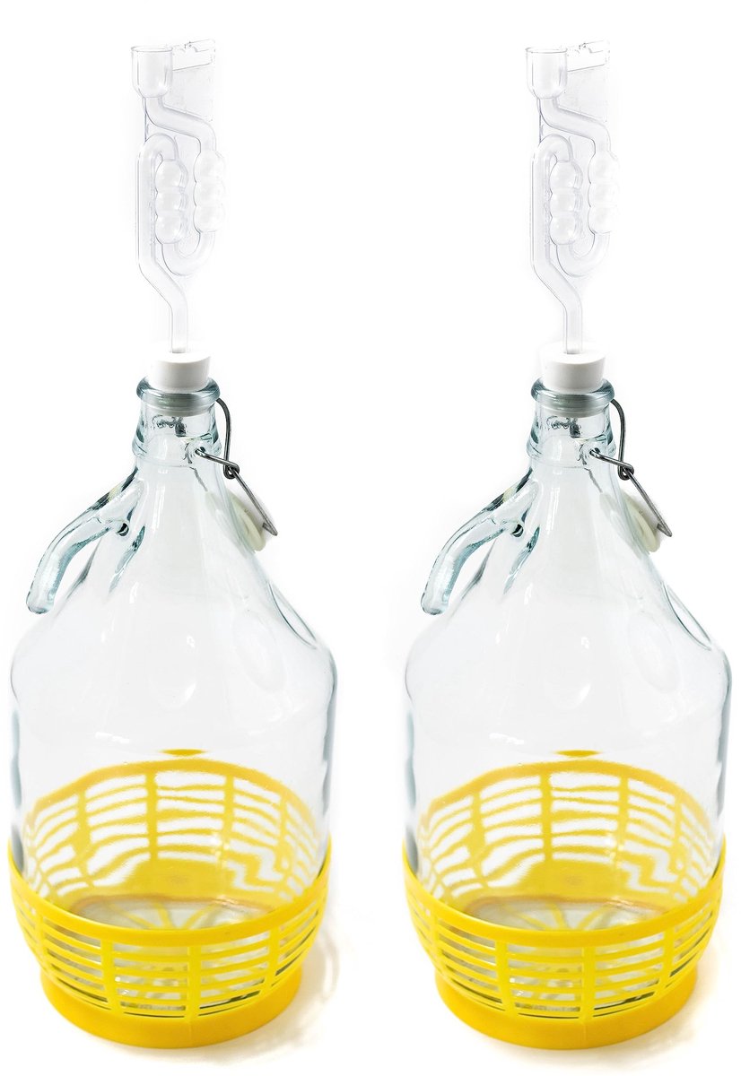 Dailygoods- Fermentatieballon 5-liter - Glazen Fles - Beugelsluiting - Fermentatiebuisjes - Decoratieve Fles - 2 Stuks - Fermentatiefles