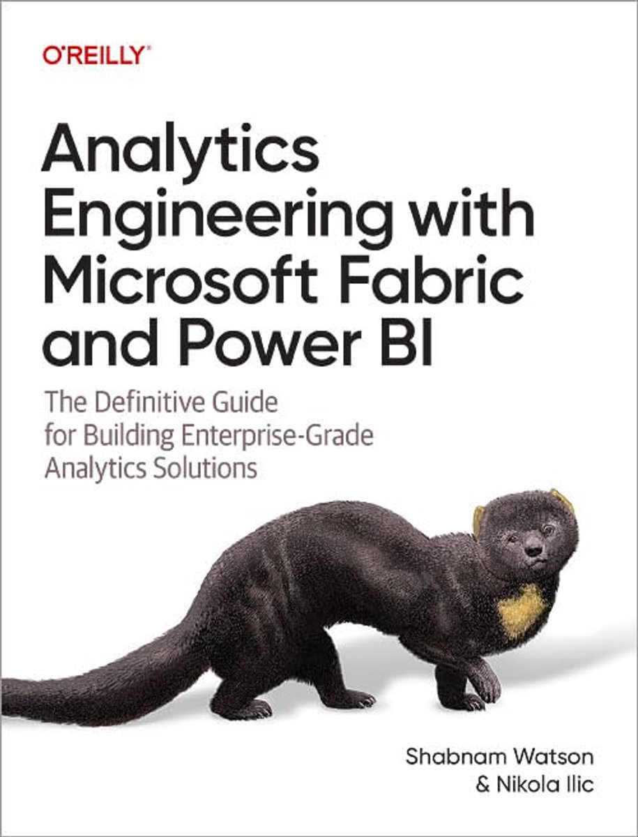 SnelShoppen - Analytics Engineering met Microsoft Fabric en Power BI - Definitieve Gids voor Enterprise-Grade Analytics Oplossingen, Data-analyse, Vis