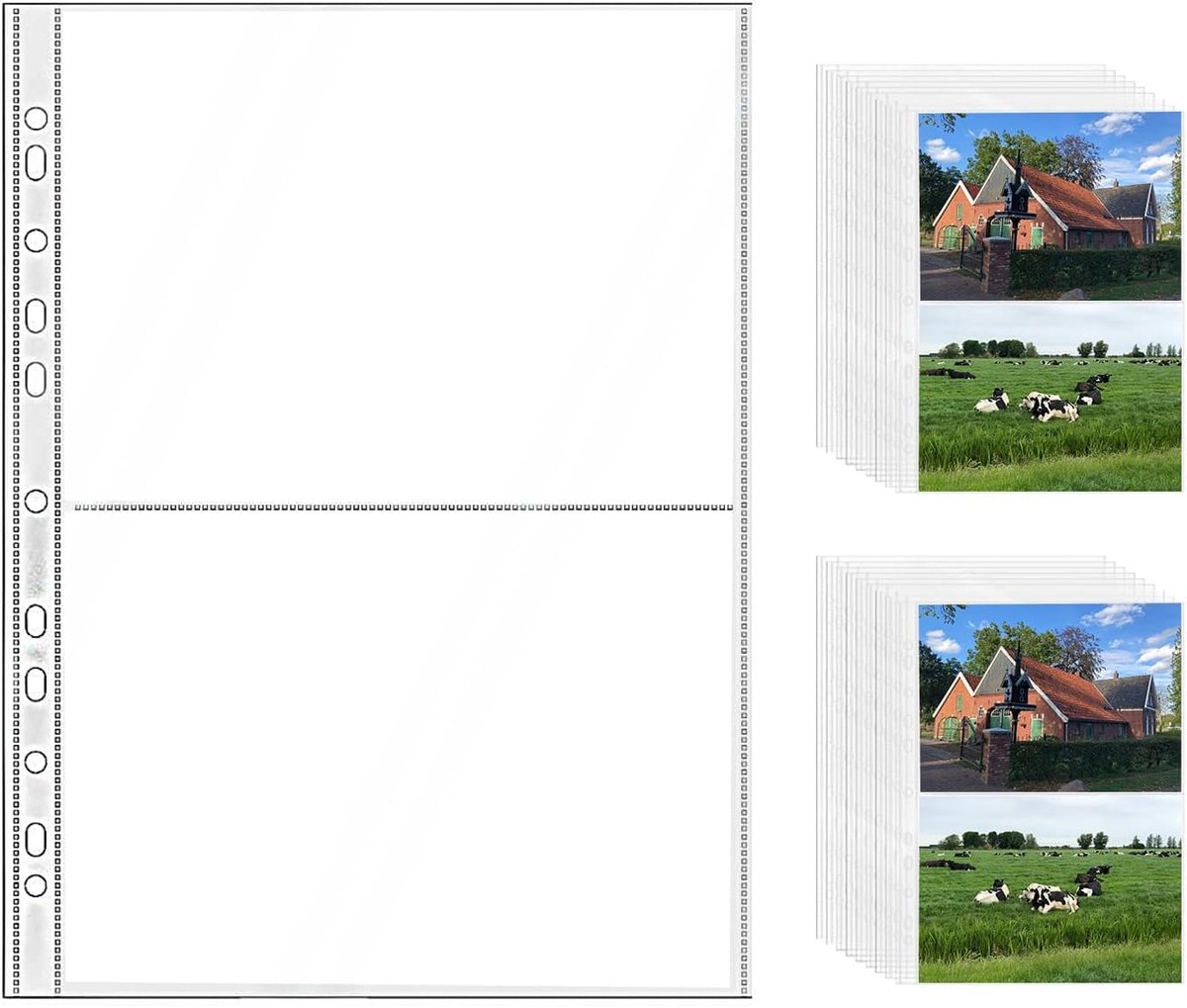 25 ringbanden van 31 x 23 cm, papierbeschermers, transparante ringbandhoezen, notitieboekmapjes (2 vakken)