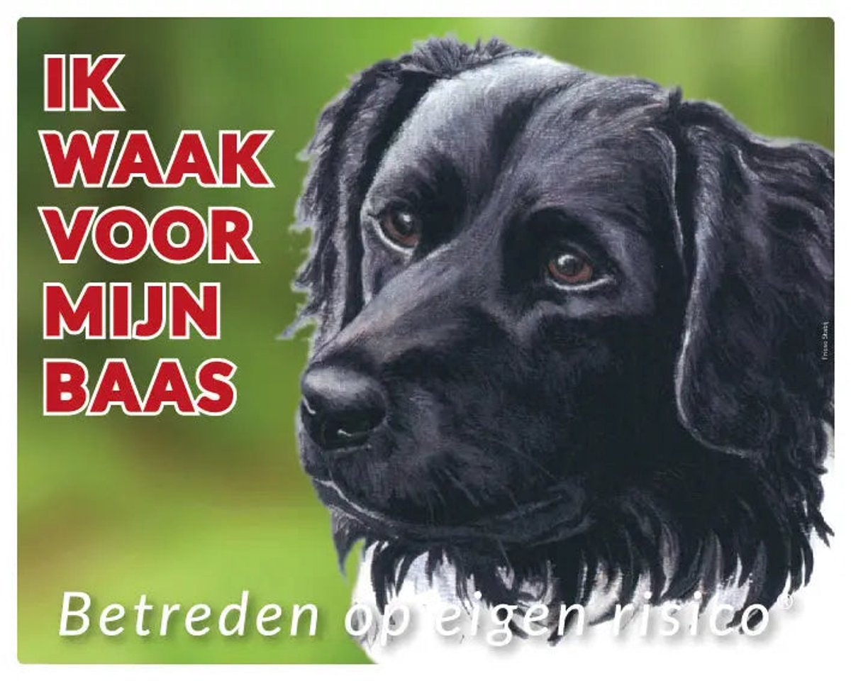 Friese Stabij Waakbord