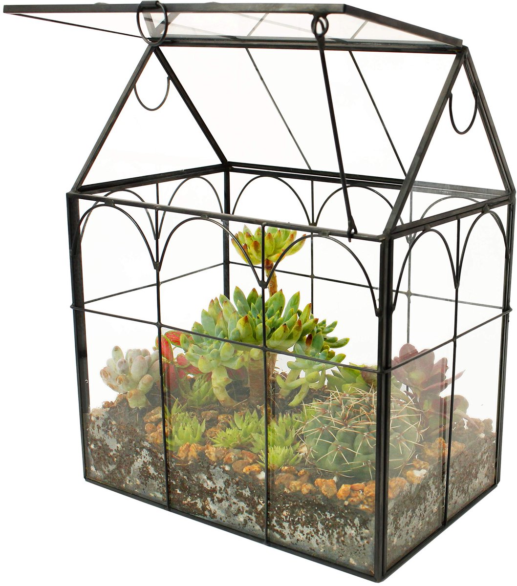 SnelShoppen - ElegantLife Huisvorm Succulent Terrarium, Handgemaakte Vetplant Plantenbak met Schommeldeksel voor Varenmos, Cactussen, Luchtplanten (Ge