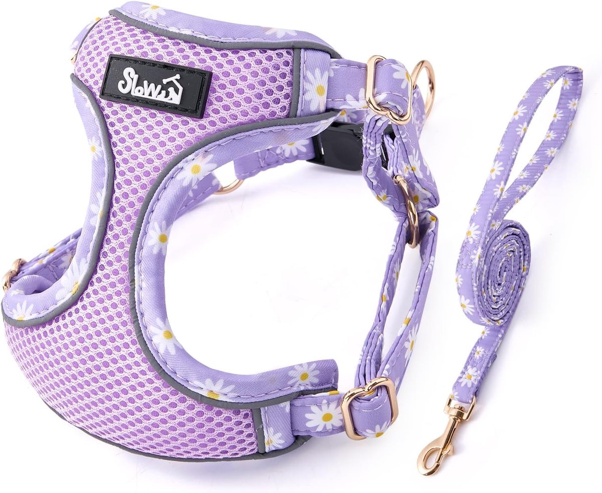 SnelShoppen - SlowTon Hondentuig No Pull met Leash, Verstelbaar en Ademend voor Kleine en Middelgrote Honden, Reflecterend, Training, XS