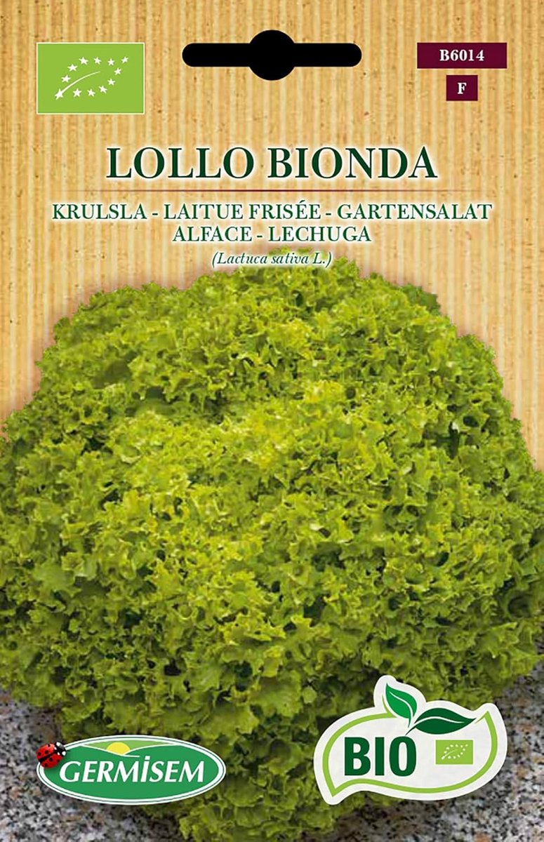 SnelShoppen - Lollo Bionda Tuin Salade Zaden 2g - Biologisch, Knapperig, Groene Bladeren, Zoete Smaak, Eenvoudig te Telen, Perfect voor Moestuin en Sa