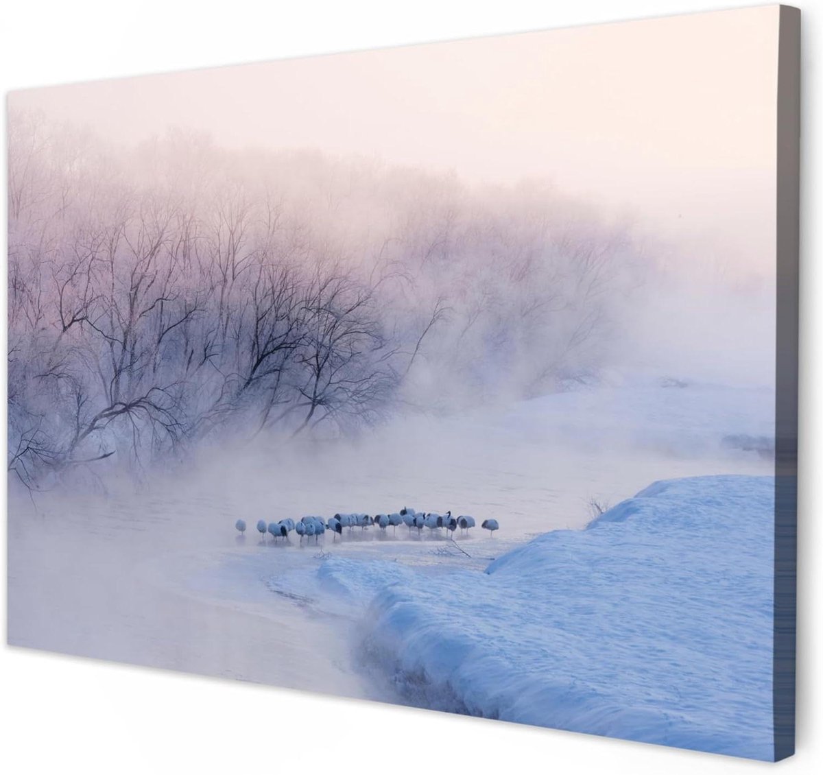 Canvas Schilderij - Muur Decoratie - Woonkamer Aankleden - Hoge Kwaliteit Print - 30x20 cm - Natuur Mist