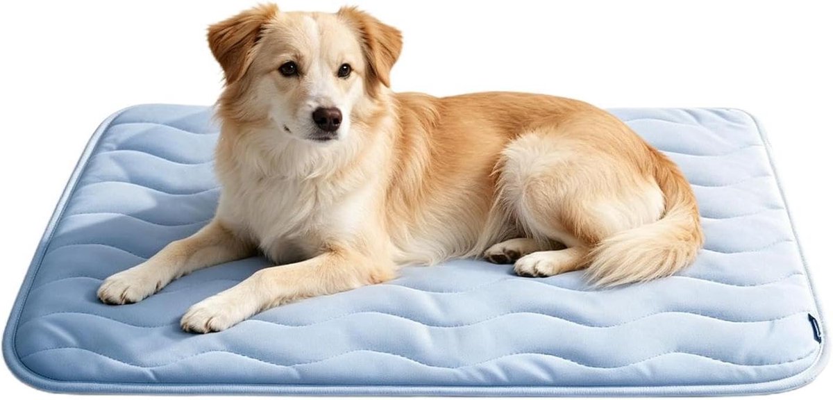 Koelende Hond Bed - Huisdier Koelmat - Zomerse Verkoeling - Directe Koeling Zonder Water - Lichtblauw - 40x15x15 cm