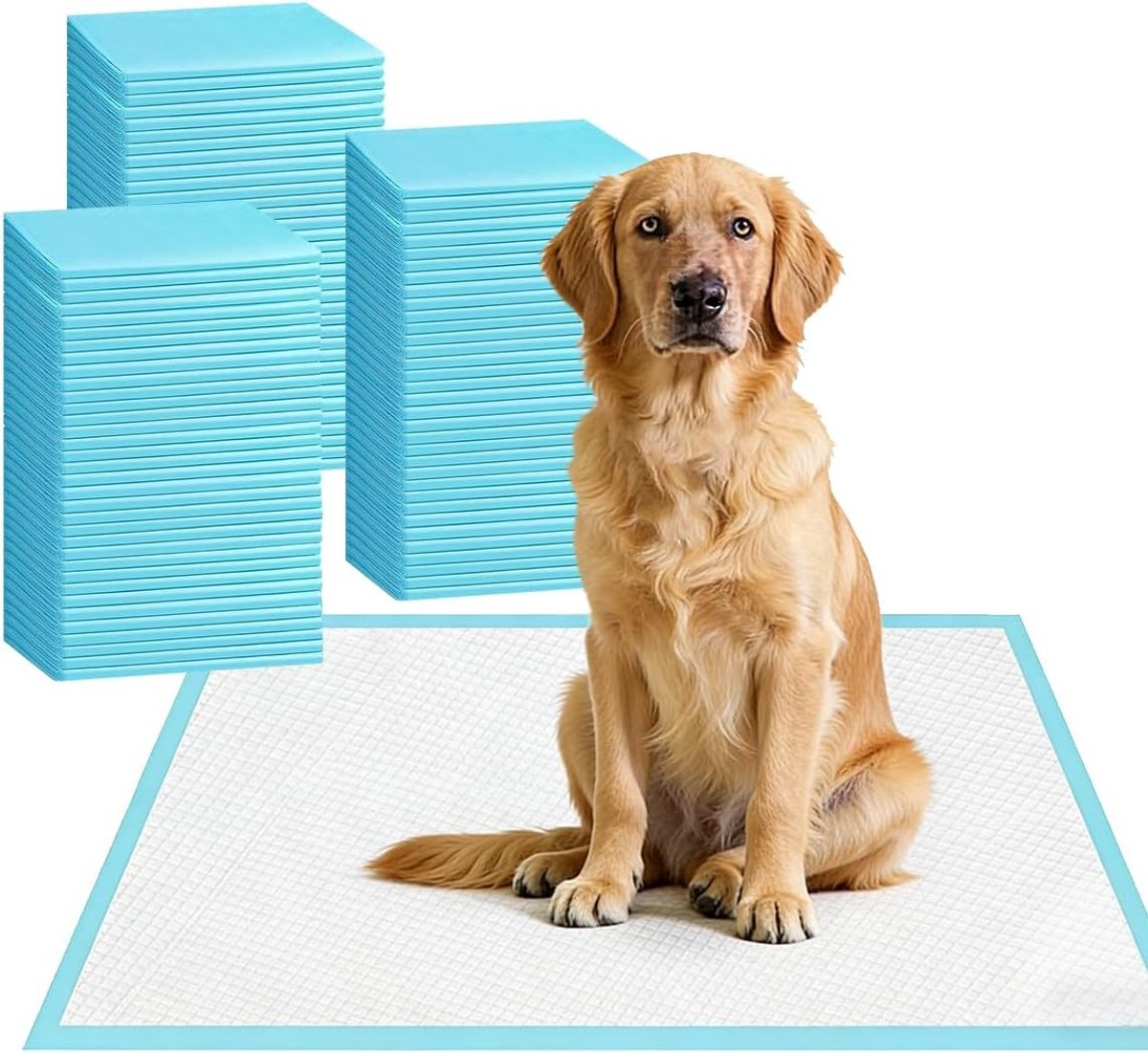 Wegwerp Puppypads en Hondentrainingspads 60 x 60 cm, 100 stuks, Ultra Absorberend, Lekvrij en Geurloos, Ideaal voor Zindelijkheidstraining en Puppytraining