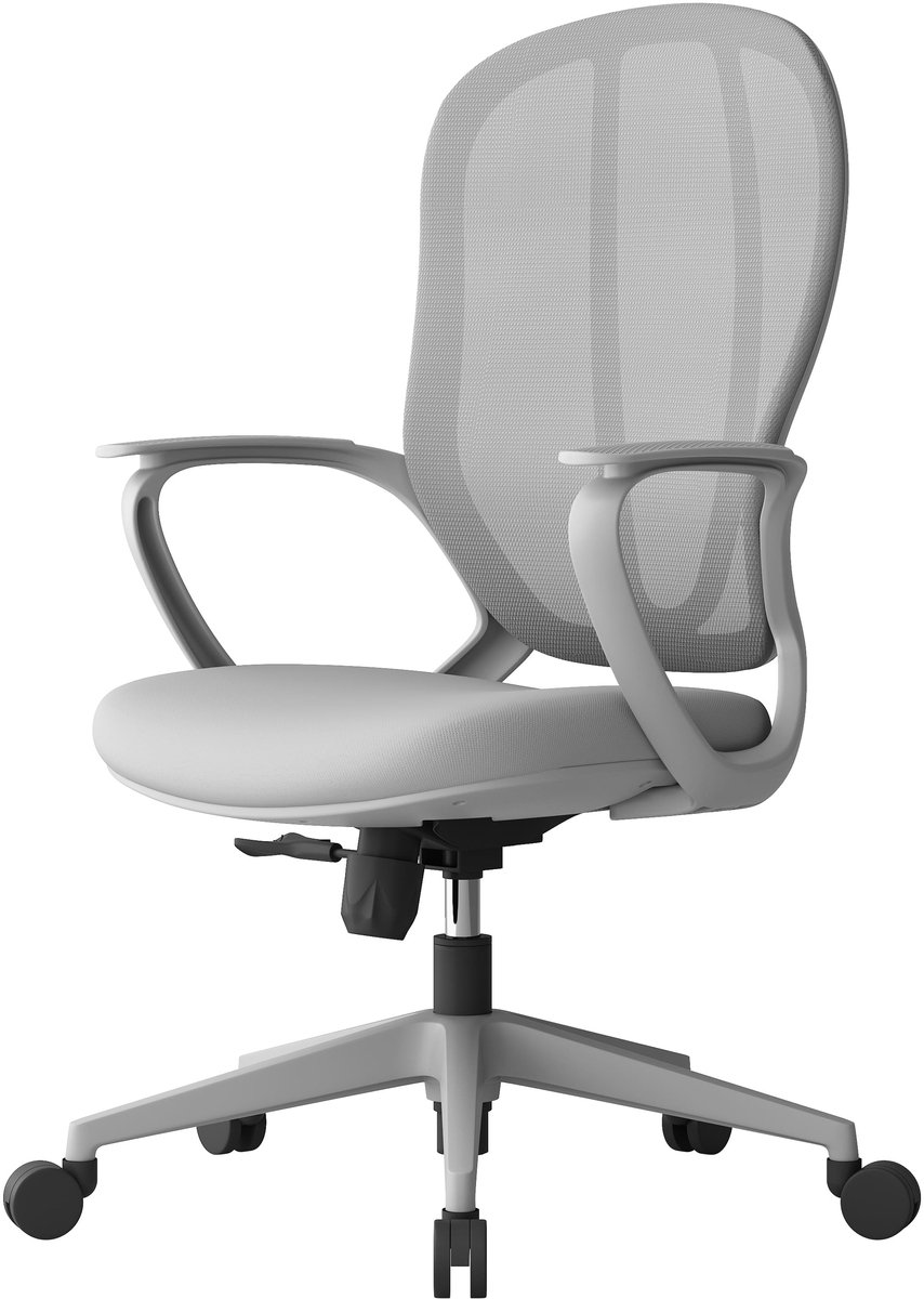 Olio Ergonomische Mesh Bureaustoel met Lendensteun - Grijs