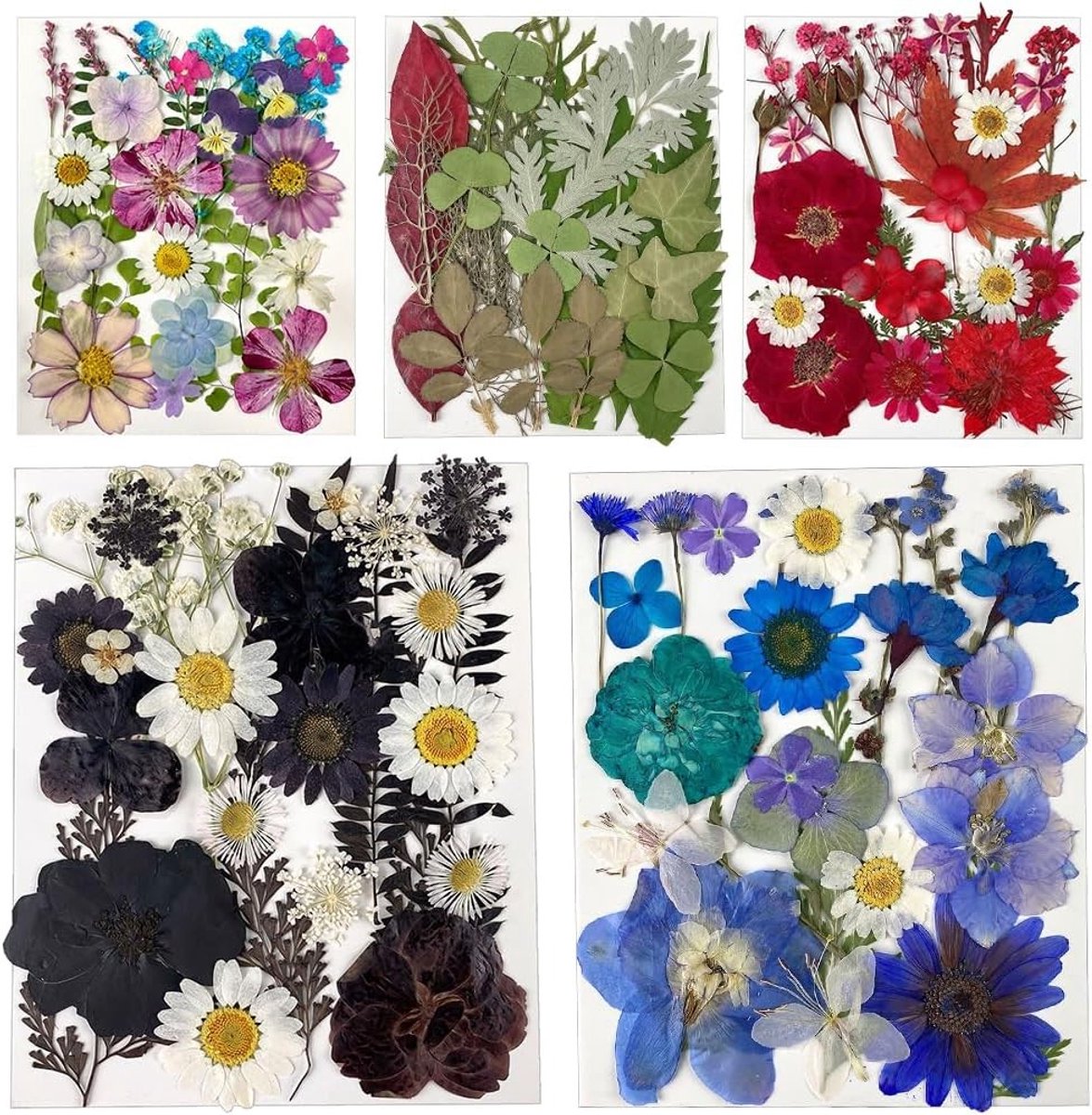 125 Stuks Gedroogde Bloemen voor Hars, Natuurlijke Bloemblaadjes, DIY Ambachten en Zeepkaarsen Maken