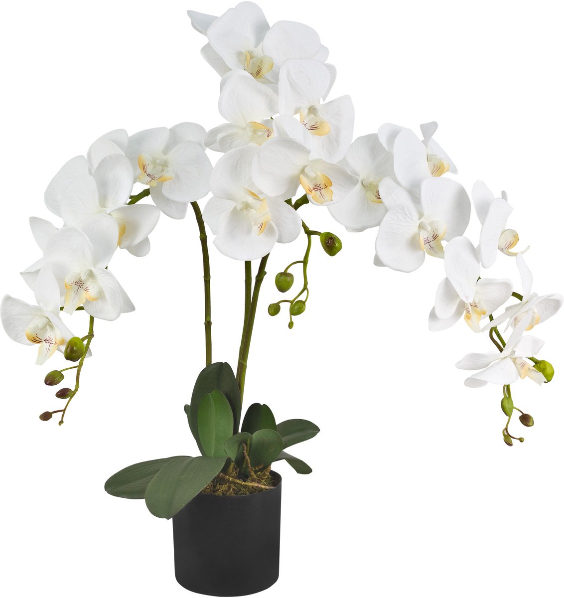 Kunstorchidee, wit, met pot, 65 cm, Decovego
