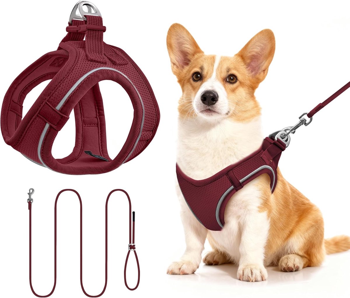 Kattenharnas en riem set voor Katten Kleine Honden(M, bordeauxrood) | Riem van 255 cm, anti-ontsnapping, licht, ademend, zacht en comfortabel, reflecterende band, voor wandelingen en reizen