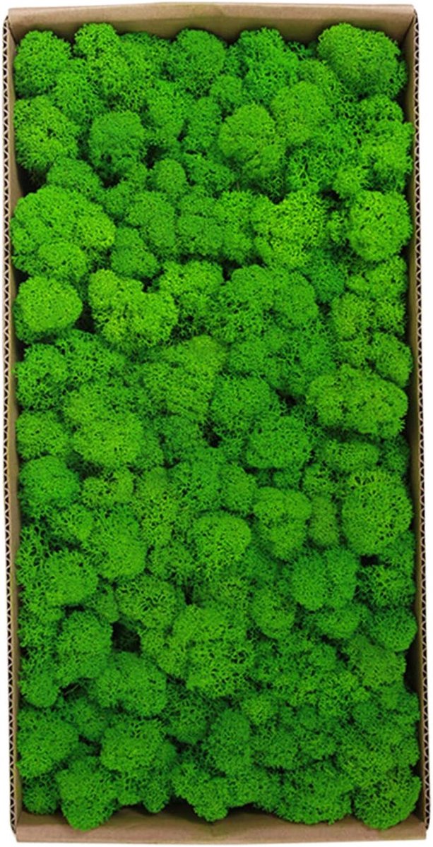 Wanddecoratie Echt geconserveerd mos geen onderhoud nodig natuurlijk, voor thuis muur party festivals ambachten Xmas Indoor Office Decoratie.