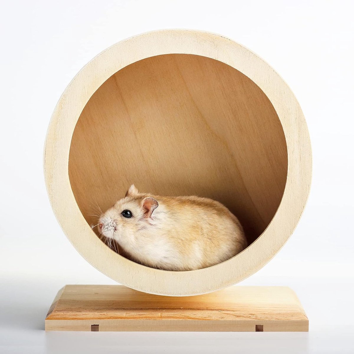 Hamsterloopwiel van hout ø21 cm Stil loopwiel voor hamsters voor rust en beweging van Syrische hamsters, woestijnratten, ratten, muizen, dwergen, kleine chinchilla