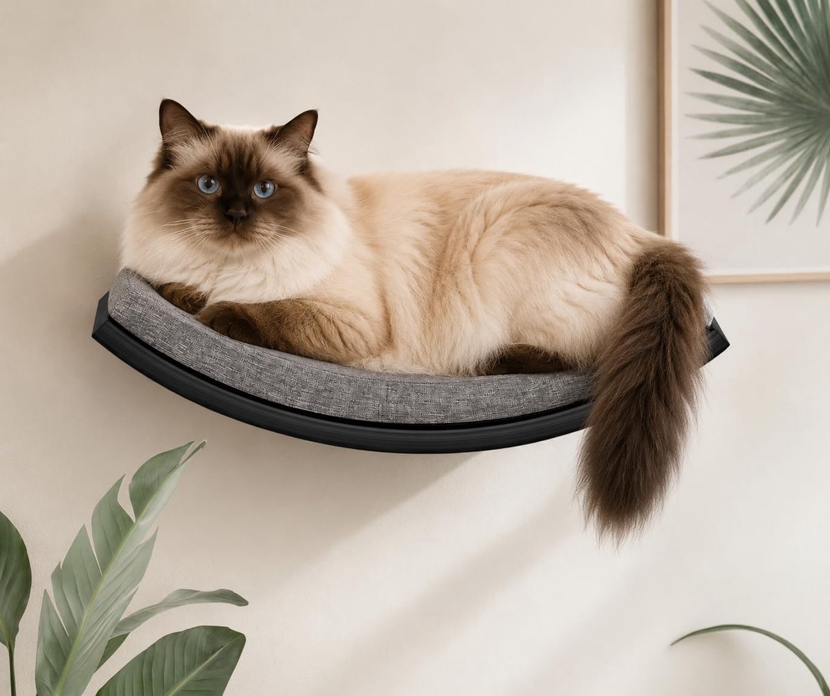 kattenwandrek, kattenklimwand met schuimrubberen mat, wandmontage massief houten kattenwandmeubel voor klimmen, spelen, slapen