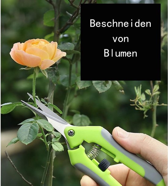 Snoeischaren kleine Precisie snoeischaar Professionele takkenschaar tuinscharen voor de tuin bonsai-schaar oogstschaar plantenschaar bloemenschaar (Groen + Oranje, 2 stuks) — afbeelding 4