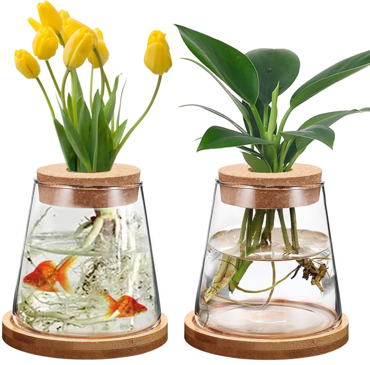 Dailygoods - Hydrocultuur plantenvazen - Glazen vaas met voet - Uniek ontwerp - Transparant - Decoratie voor huis en kantoor - Set van 2