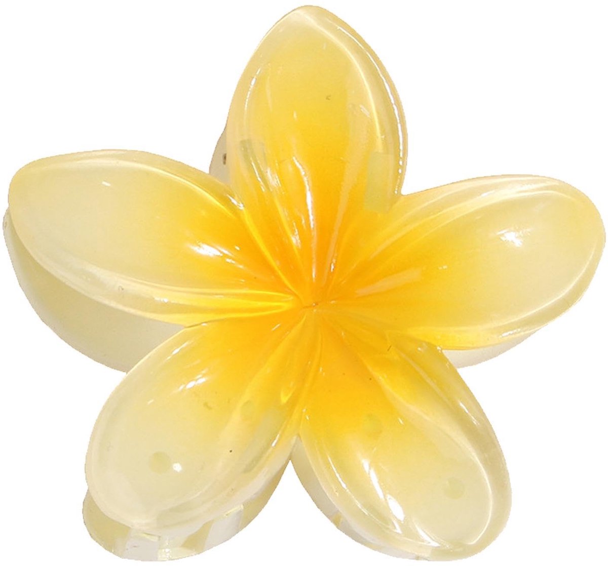 Dailygoods- Haarspelden Antislip - Hawaïaanse Bloemenhaarspeld - Voor Vrouwen - Speciale Gelegenheden - 8 x 4 x 8 cm - Hars Materiaal - Haaraccessoires