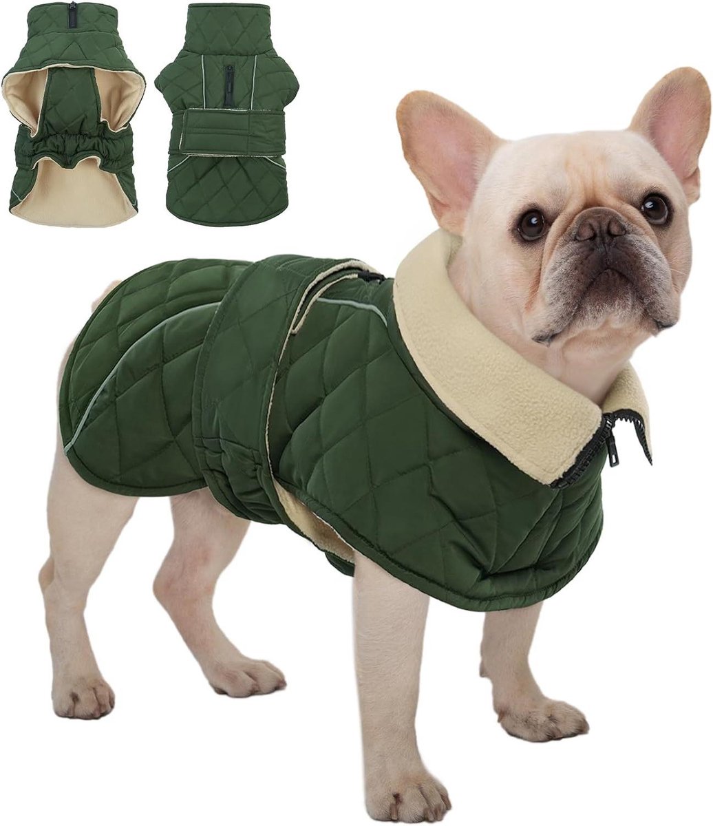 Hondenjas - Winterjas Hond - Hond Warm Houden - Waterdicht Fleece Voering - Maat S - Groen