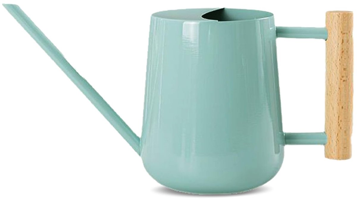 Dailygoods - 1L Mini Watering Can - Ideale Gieter met Lange Tuit en Houten Handvat voor Binnen- en Buitenplanten
