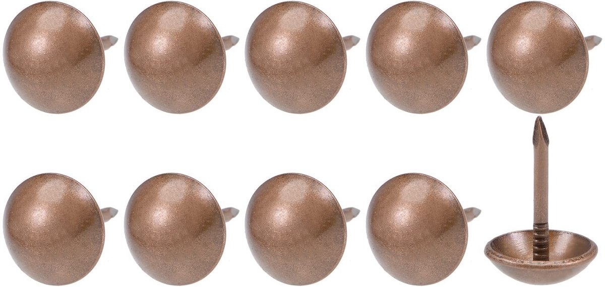 Dailygoods - Bekleding punaises 20 stuks - IJzeren ronde duim schuifpinnen voor meubels en knutselen