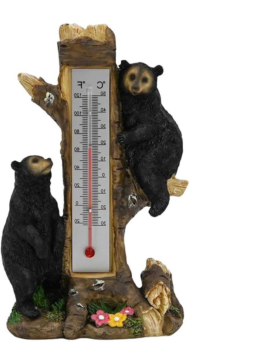 Buiten Temperatuurmeter - Decoratie Meter - Temperatuur Monitoren - Weerbestendig Kunsthars - 27 Centimeter - Zwart