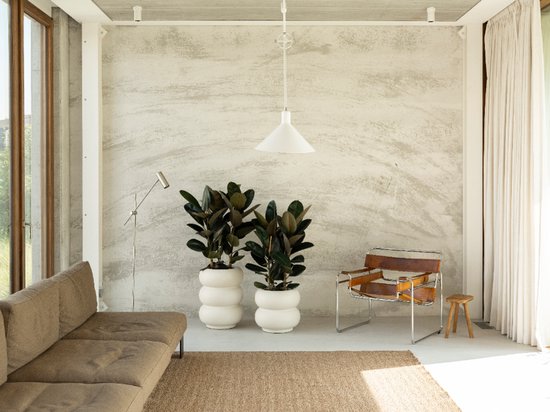 Twee grote linnenwitte bloempotten met planten in een woonkamer.