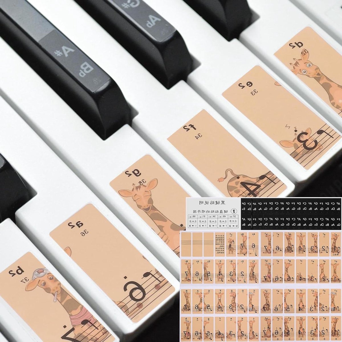 Pianostickers - Toetsenbord stickers - Muziek Leren - Afneembaar zonder resten - 88/61/54/49 toetsen - Transparant