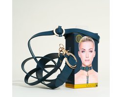 Luxurious Collar with Leash