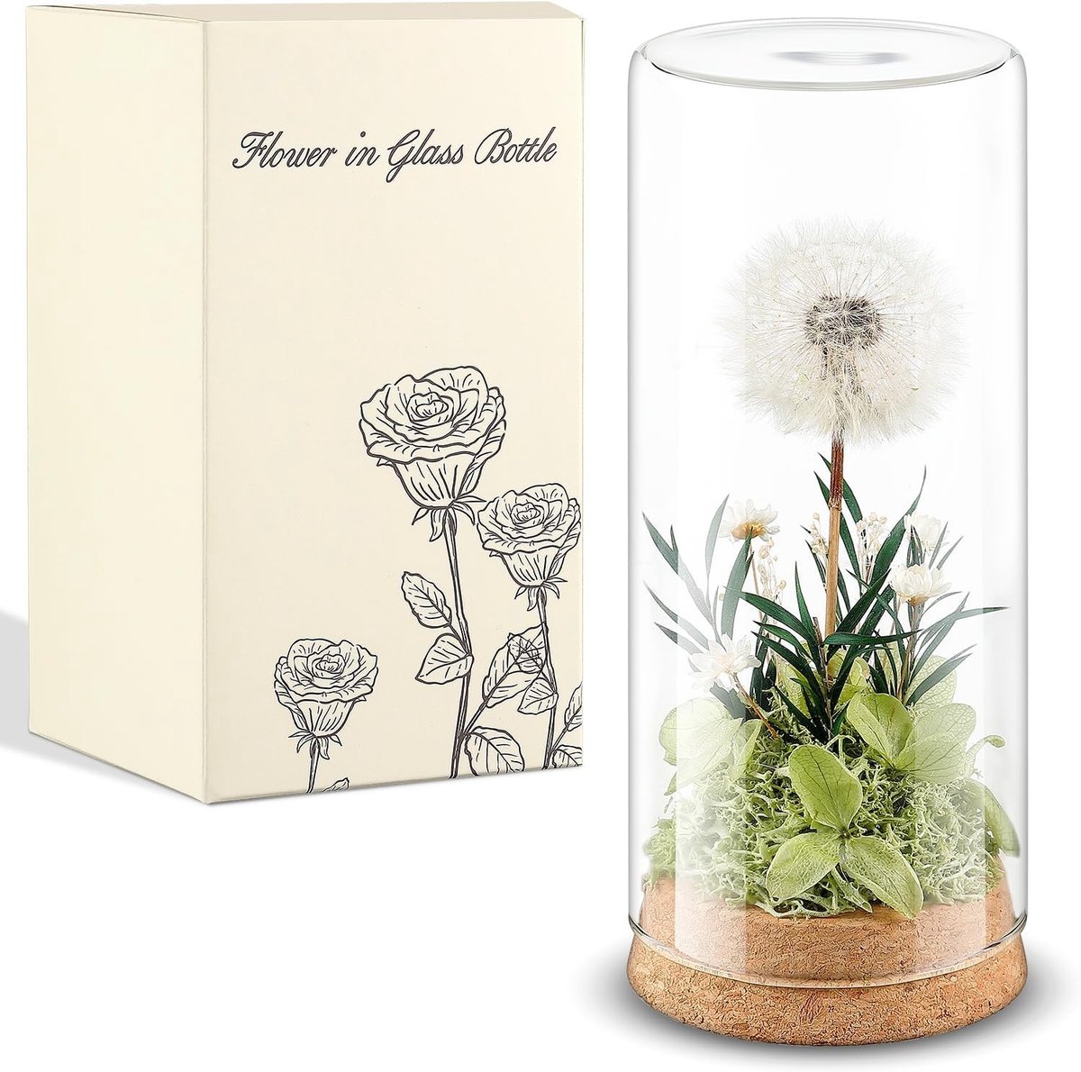 Pustebloem Wensvervullende Geschenken voor Vrouwen - Echte Pustebloem in Glas, Bewaarde Bloemen voor Verjaardag, Bruiloft en Kerstmis