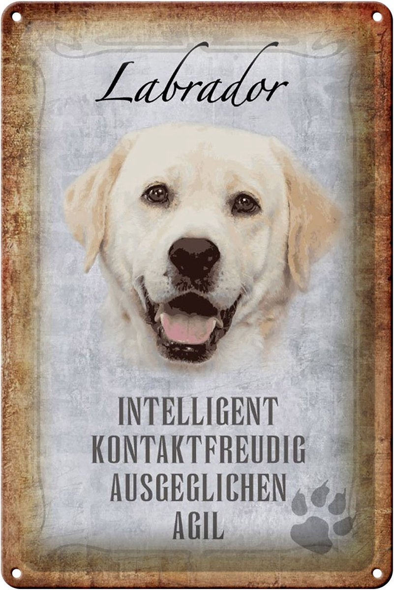 Blechschild Spruch 20x30cm Labrador Hund Schild