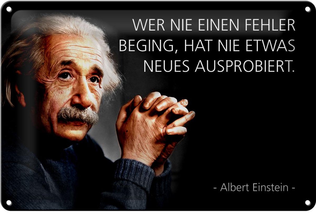 Blechschild Zitat 20x30 cm Einstein Wer nie einen Fehler beging Deko Schild