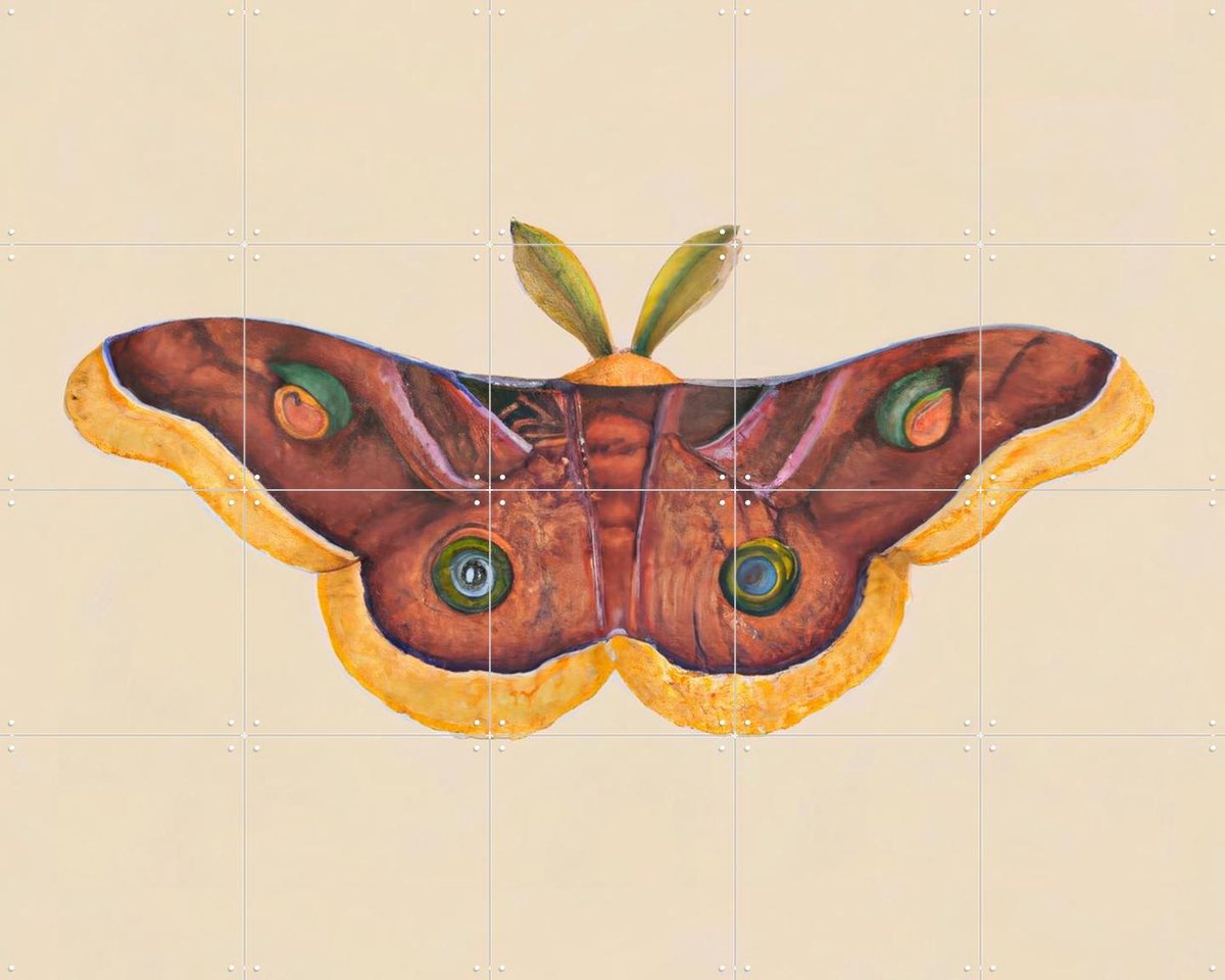 IXXI Butterfly Effect, Interiorisla - 100 x 80 cm - Gratis ophangtool - Grote wanddecoratie en posters - Abstract, Kleurrijk, Slaapkamer, Kinderkamer