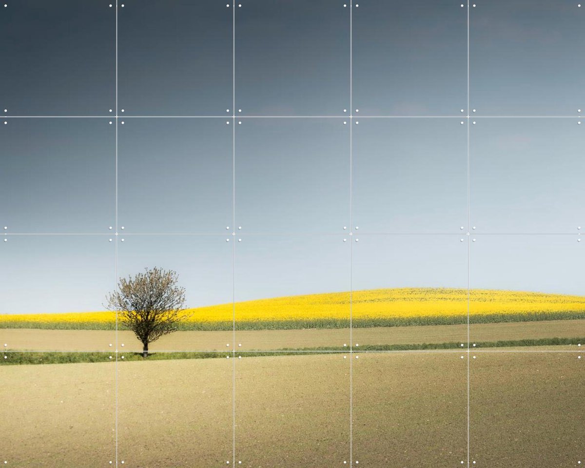 IXXI Lone Tree in Spring Light, Claire Droppert - 100 x 80 cm - Gratis ophangtool - Grote wanddecoratie en posters - Fotografie, Gang, Studeerkamer
