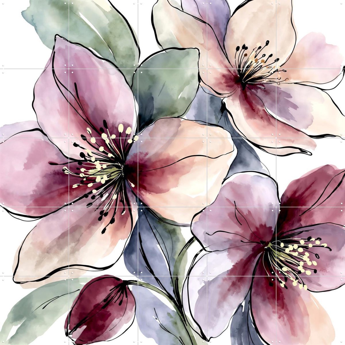 IXXI Elegante Helleborus Bloemen, Natalie Bruns - 100 x 100 cm - Gratis ophangtool - Grote wanddecoratie en posters - Aquarel, Trap, Slaapkamer