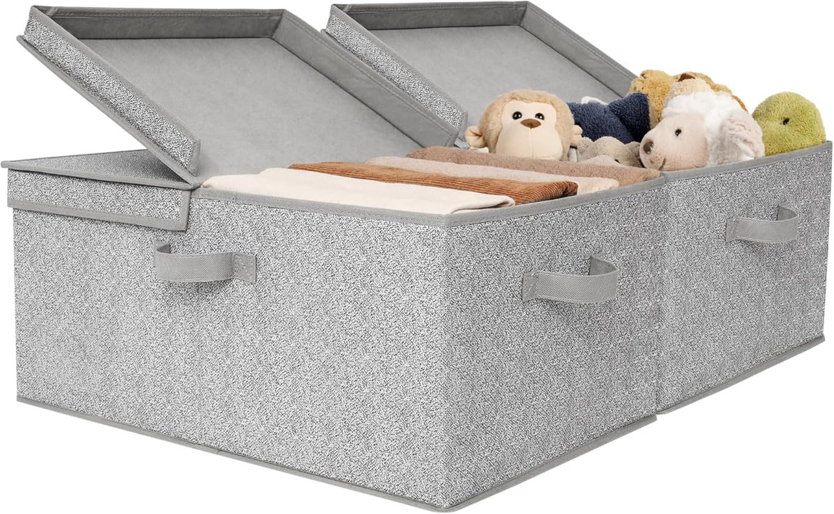 SAYS Opbergboxen met Deksel Groot, Pak van 2 Stoffen Opbergdozen met Deksels, Stoffen Opbergdoos, Opbergbakken, Kledingkast Organizer Opbergen en Organiseren, Grijs