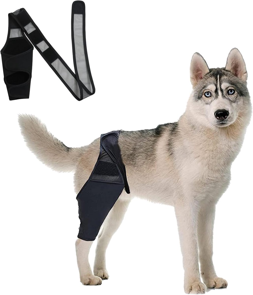 Hondenkniebrace en Elleboogbeschermer Combinatie - Hond Chirurgie Herstelkostuum - Hond Beenbrace en Elleboogbescherming voor Wondbescherming - Maat XL