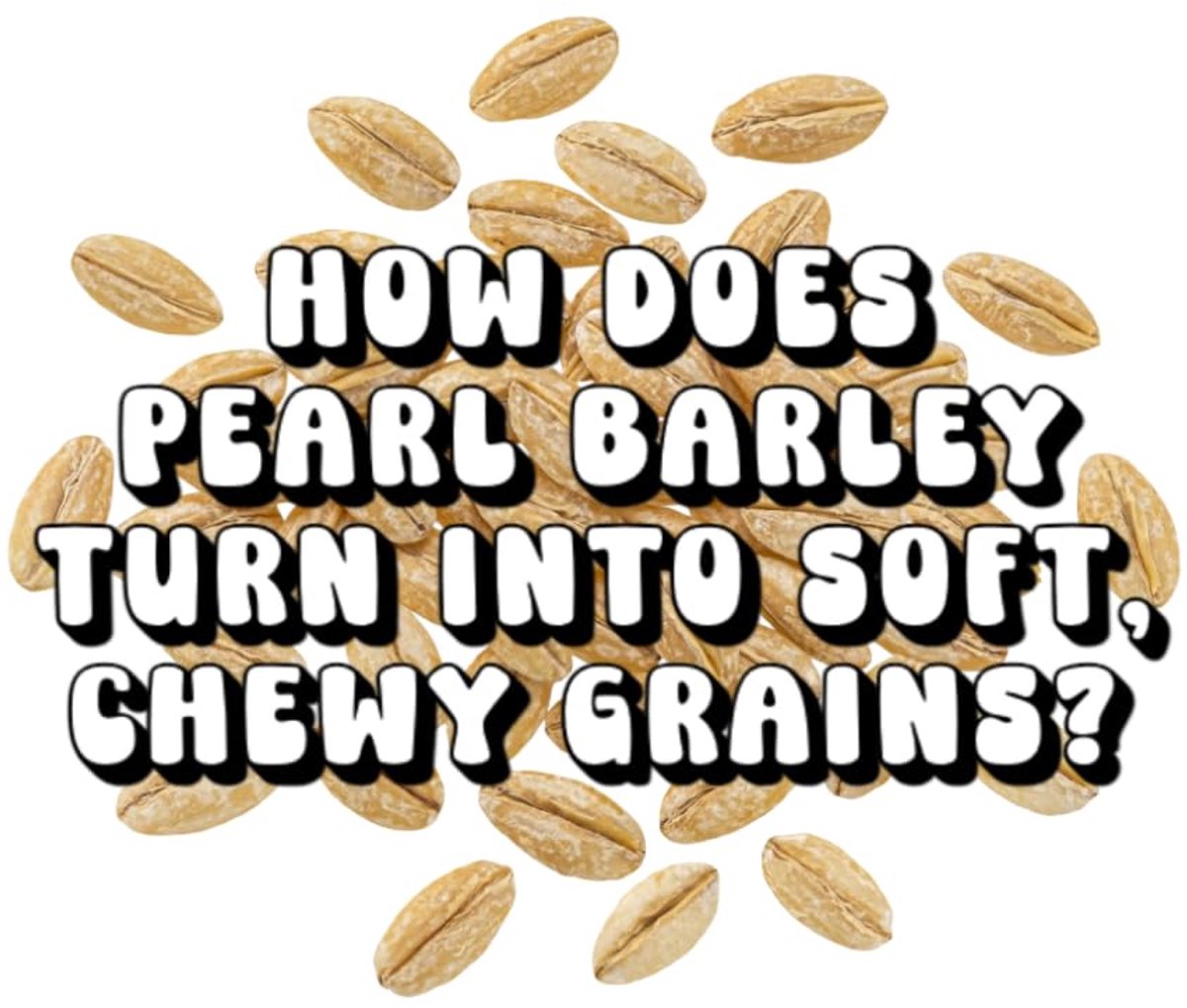 Does Pearl Barley Turn Into Soft, Chewy Grains?