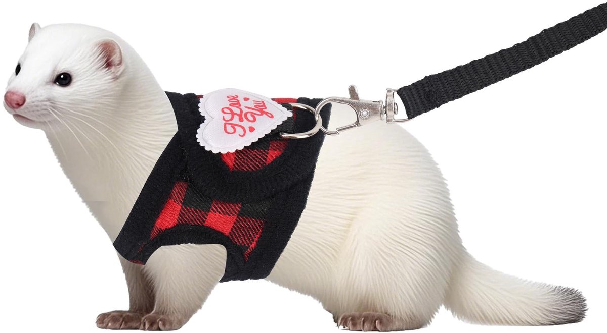 Dailygoods- Harnas voor Kleine Dieren - Verstelbaar Rood Geruit Harnas - Duurzame Ontsnappingsbestendige Lijn - Koppel 145cm - Geschikt voor Fretten/Hamsters - Dierenharnas