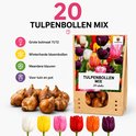 Een bruine papieren zak met een afbeelding van tulpen en met 20 tulpenbollen mix.